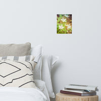 Tranquil Carolina Spring Beauty Floral Nature Photo Loose Unframed Wall Art Prints