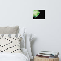 Water Droplet on Carnation Petal Floral Nature Photo Loose Unframed Wall Art Prints