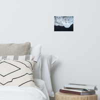 White Waters and Black Sand Landscape Photo Loose Wall Art Prints
