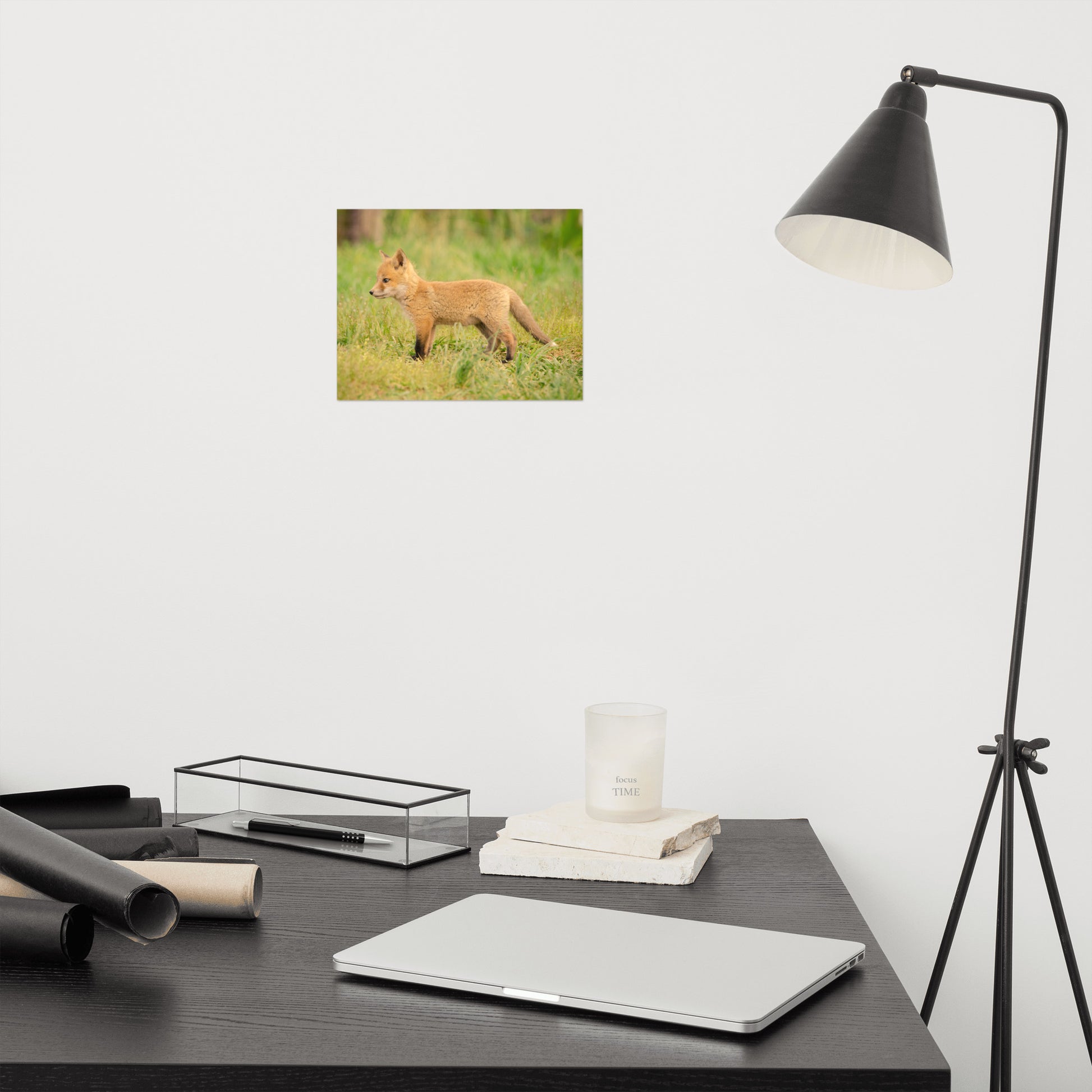 Neutral Nursery Art: Fox Pup In Meadow - Animal / Wildlife / Nature Photograph Loose / Unframed / Frameless / Frameable Wall Art Print / Artwork