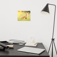 Baby Red Fox in the Sun Loose Wall Art Print