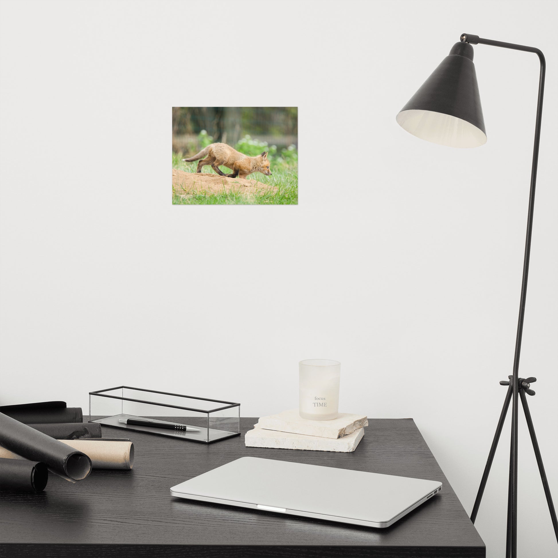 Animal Wall Hangings For Nursery: Fox Pup In Meadow Animal / Wildlife Photograph Loose / Unframed / Frameless / Frameable Wall Art Prints