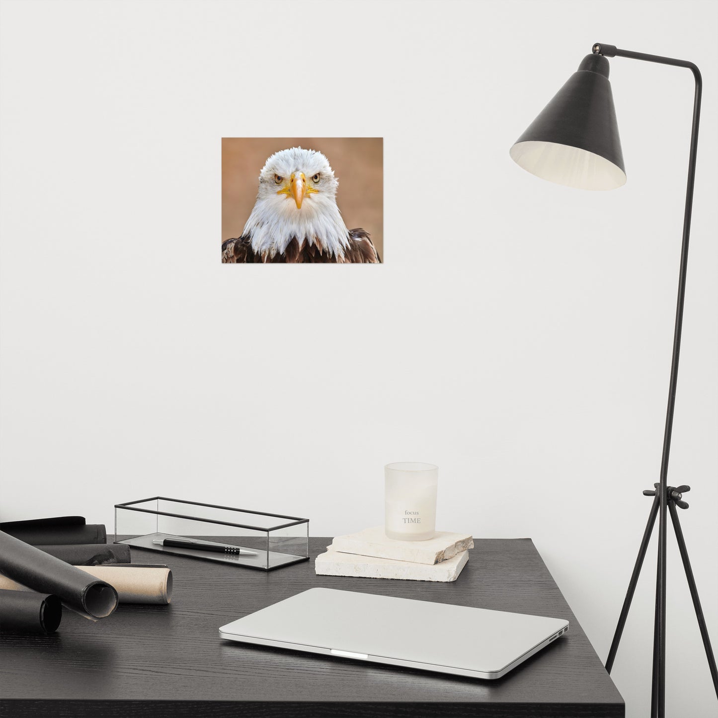 Bald Eagle Portrait Close-up 2 Loose Wall Art Print