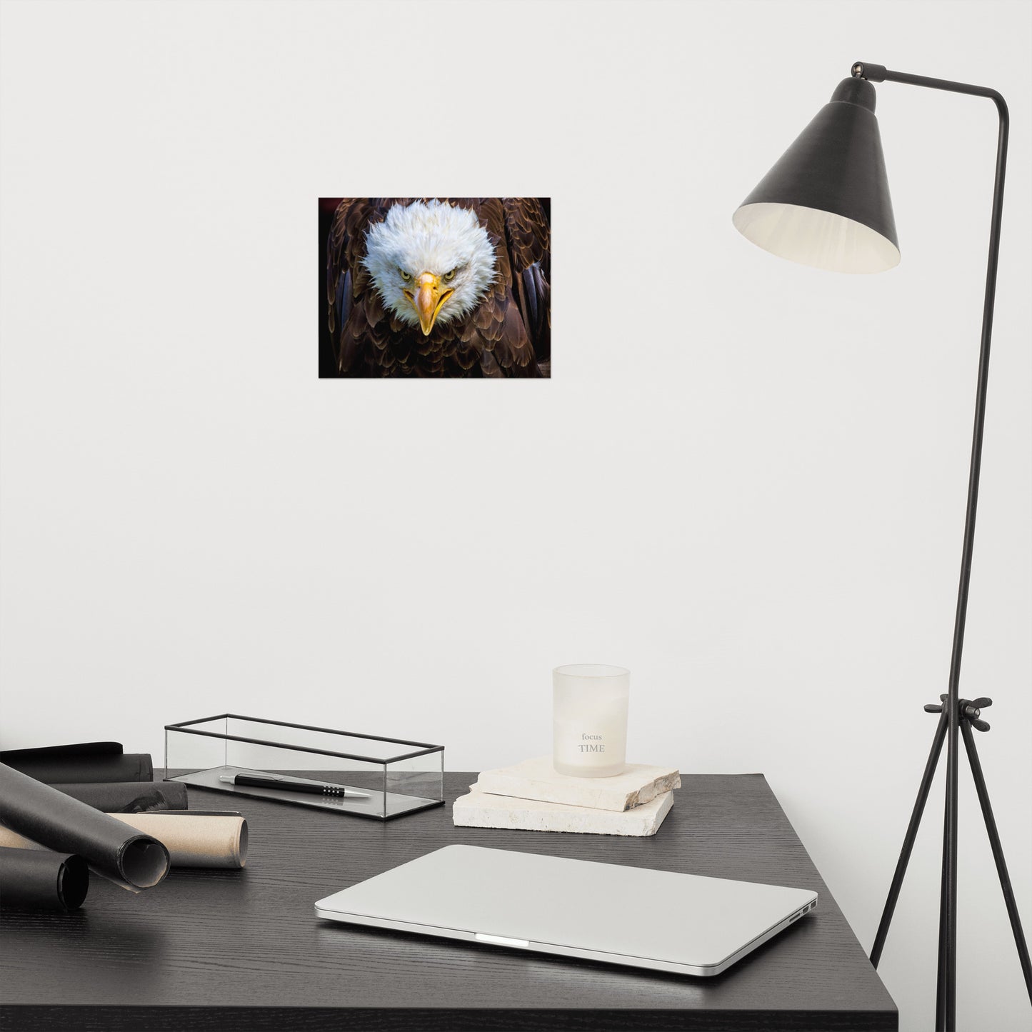 Bald Eagle Portrait Close-up Loose Wall Art Print