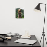 Big Standing Brown Bear On Mountain Top Loose Wall Art Print