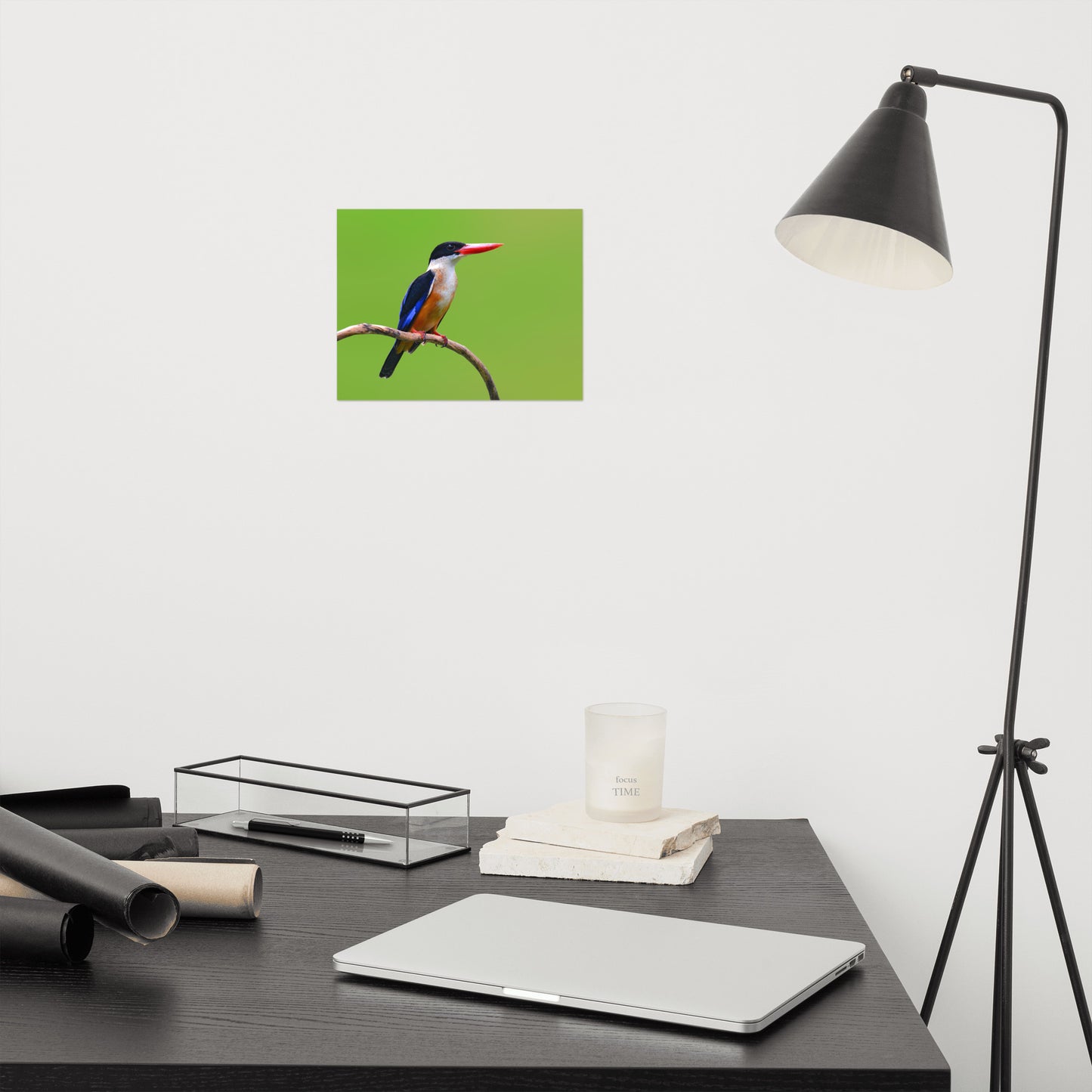 Black Capped Kingfisher Bird on Perch Loose Wall Art Print