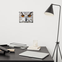 Close-up Yellow Owl Eyes Loose Wall Art Print