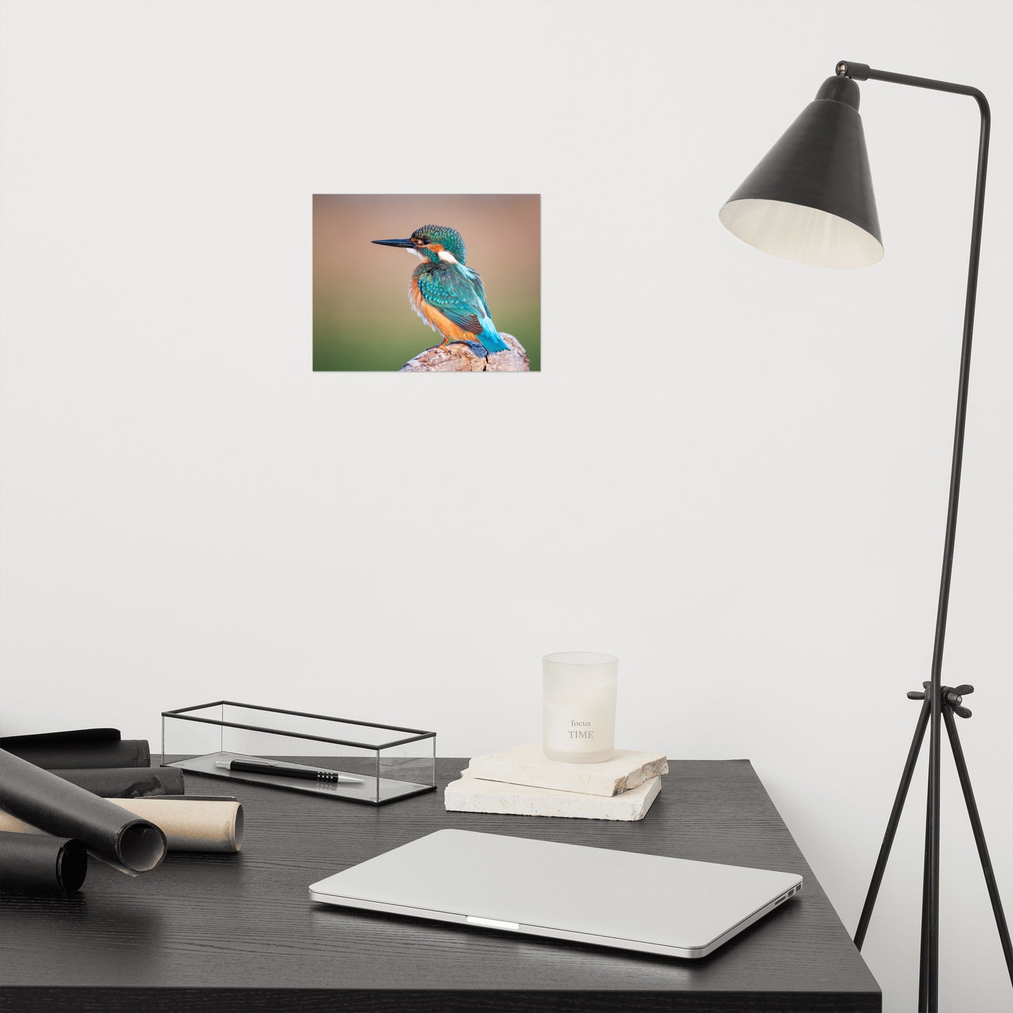 Common Kingfisher Bird on Perch Loose Wall Art Print