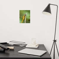 Dragonfly at Bombay Hook Loose Wall Art Print