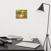 Hummingbirds with Pink Flower Loose Wall Art Print