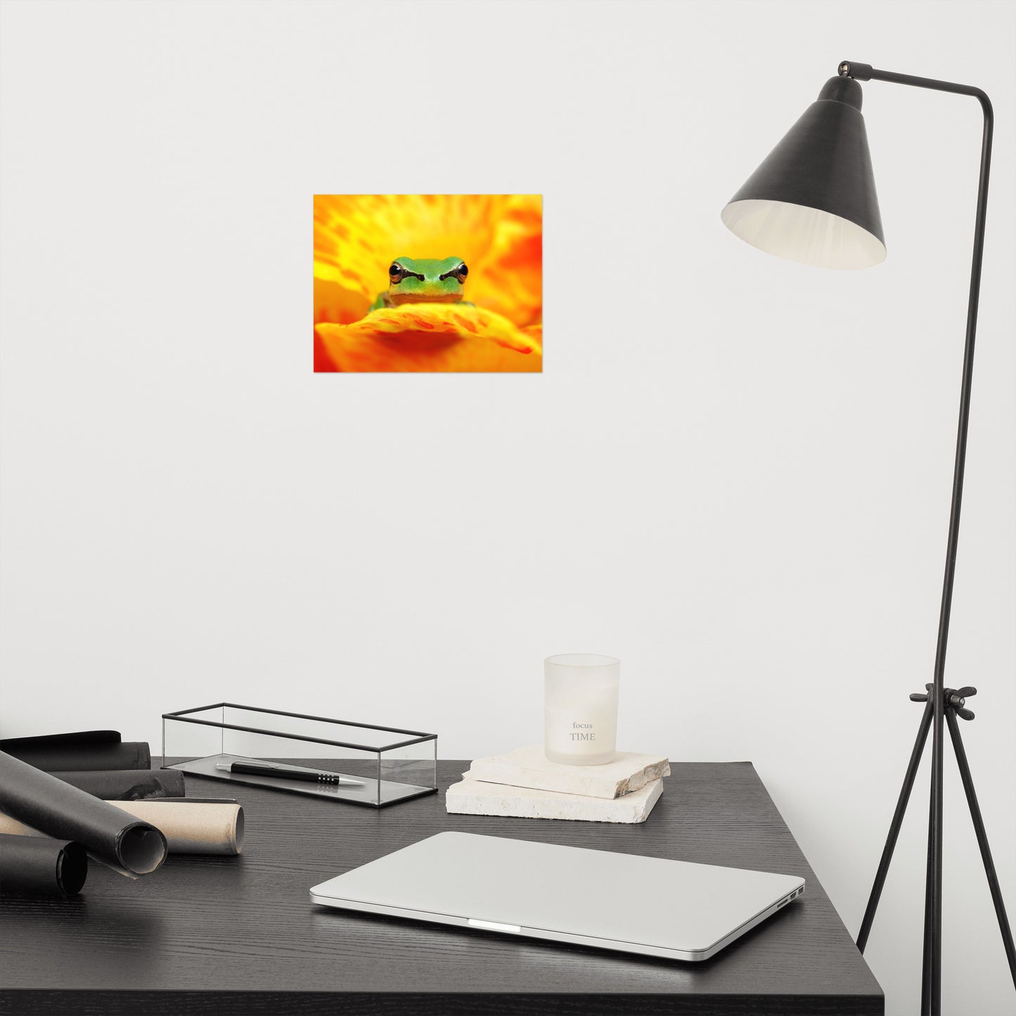 Hyla Green Frog on Yellow and Orange Flower Petals Wildlife Nature Photo Loose Wall Art Print