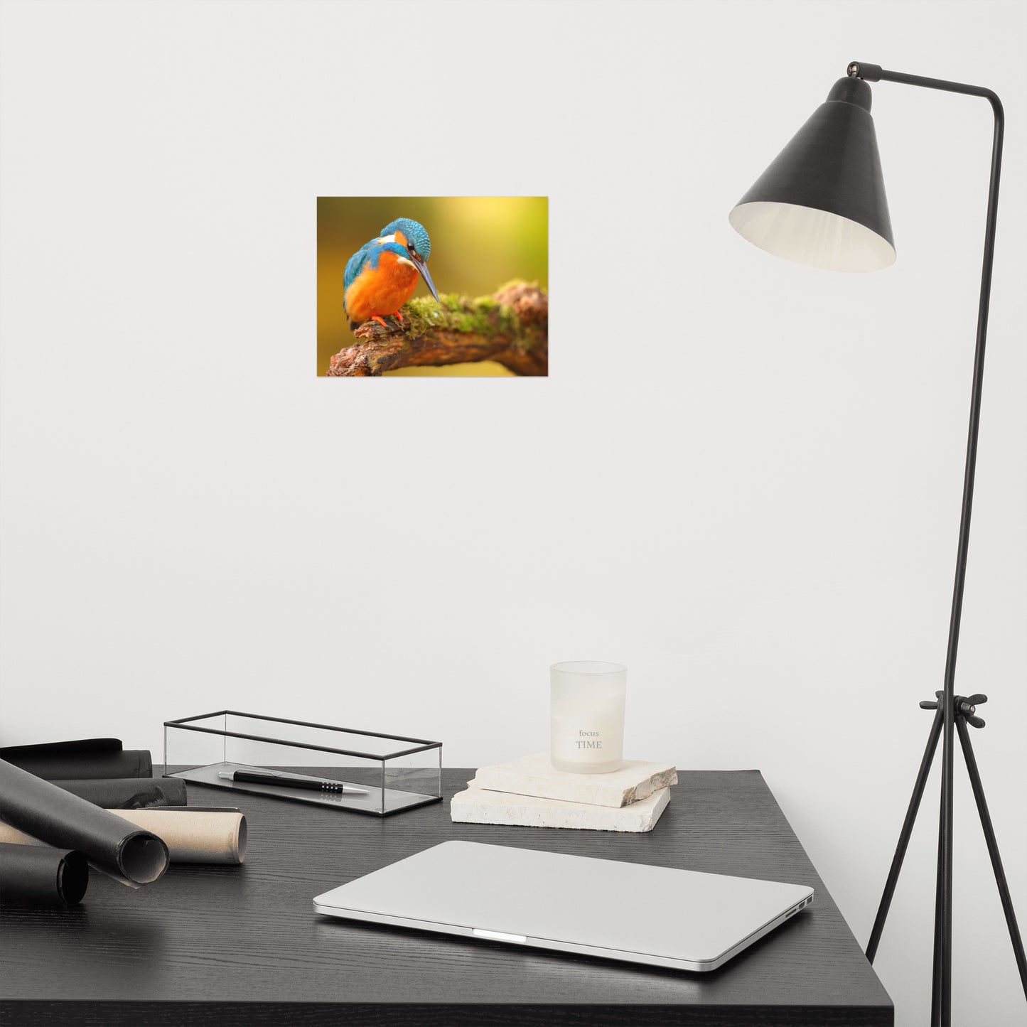 Kingfisher Bird on Perch 2 Loose Wall Art Print