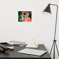 Pinky Loose Wall Art Print