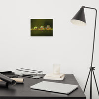 Three Tiny Green Red Eyed Tree Frog on Bamboo Branch Animal Wildlife Floral Nature Photograph Loose Wall Art Print