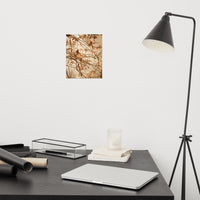 Aged Winter Leaves Botanical Nature Photo Loose Unframed Wall Art Prints